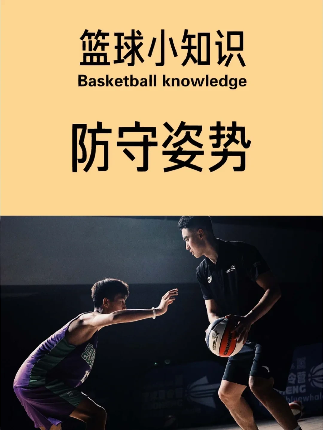 篮球训练技术动作视频下载教程_0